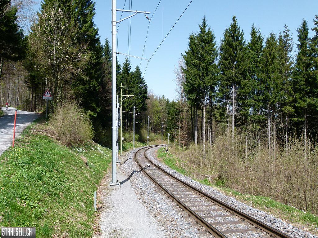 k-P1090966.JPG