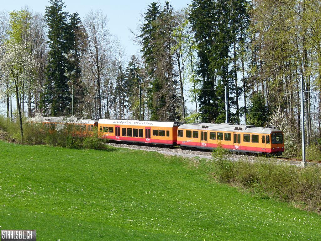 k-P1090987.JPG