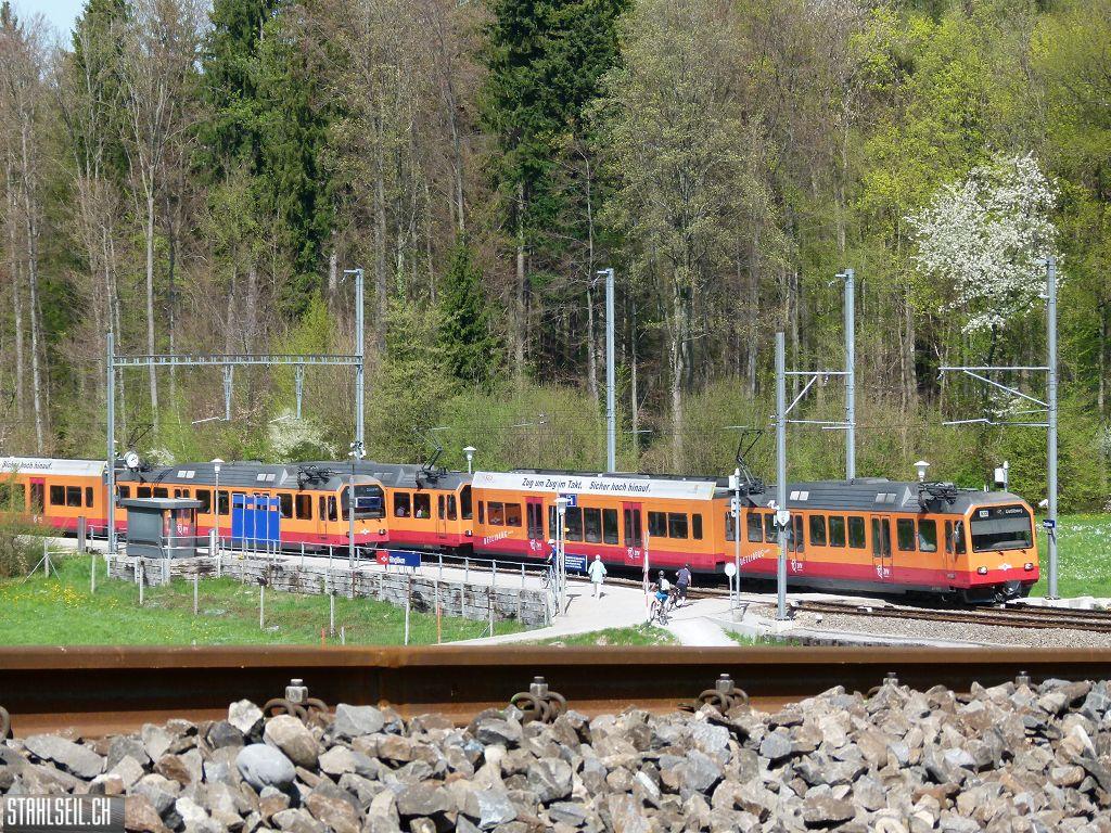 k-P1090992.JPG