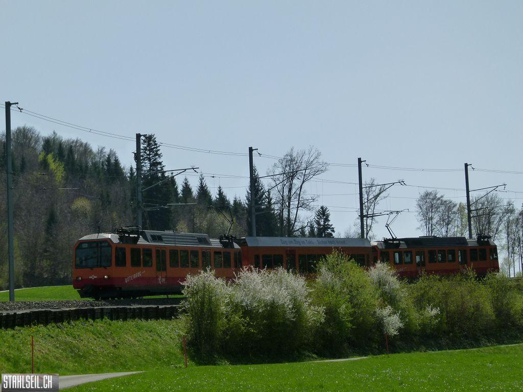 k-P1100001.JPG
