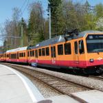 k-P1100007.JPG