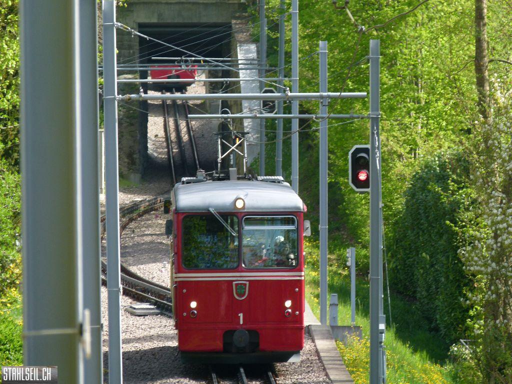 k-P1090940.JPG
