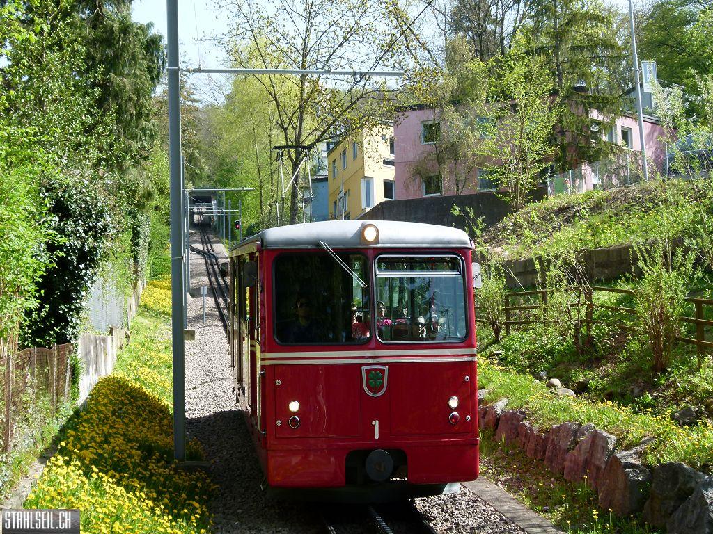 k-P1090941.JPG