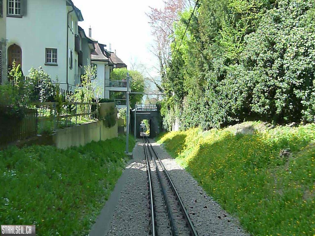 k-P1090943.JPG