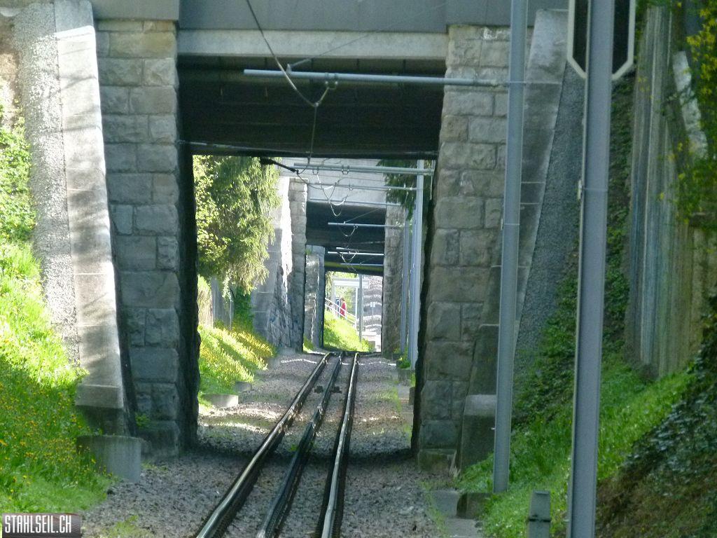 k-P1090846.JPG