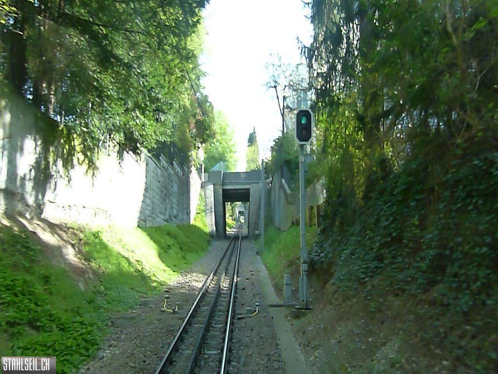 k-P1090847.JPG