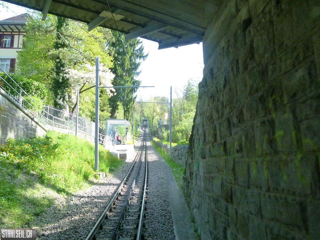 k-P1090849.JPG