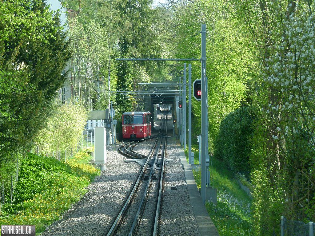k-P1090853.JPG
