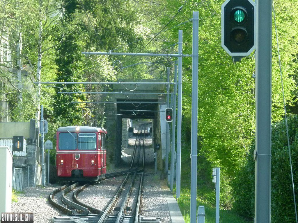 k-P1090854.JPG
