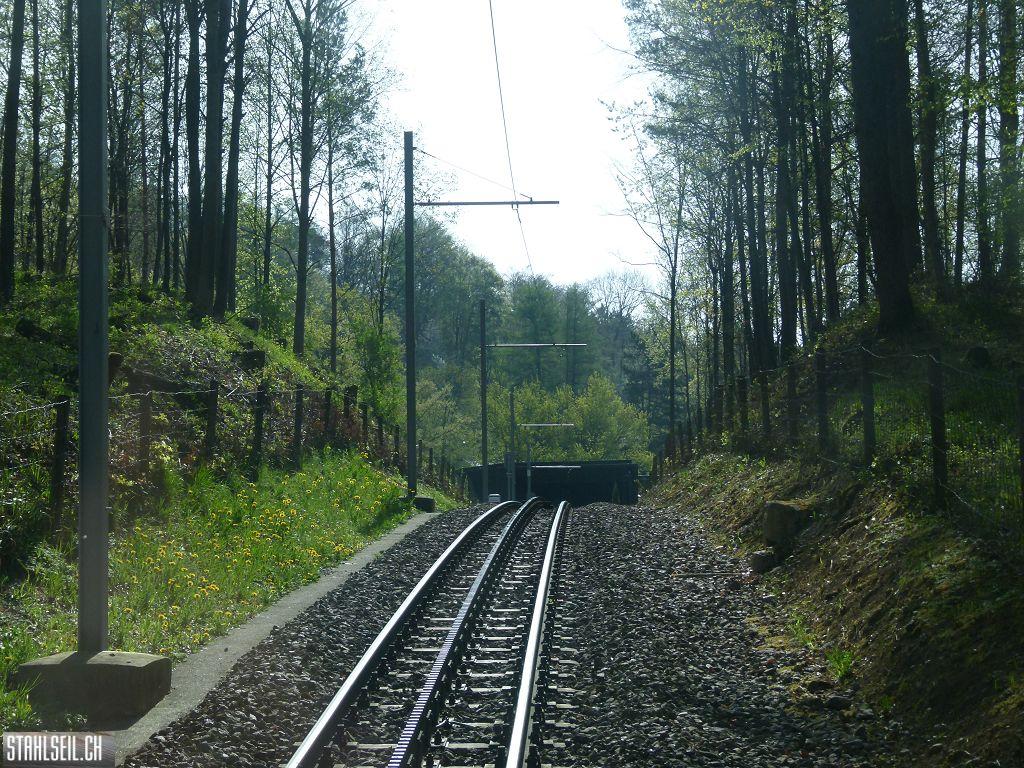 k-P1090863.JPG
