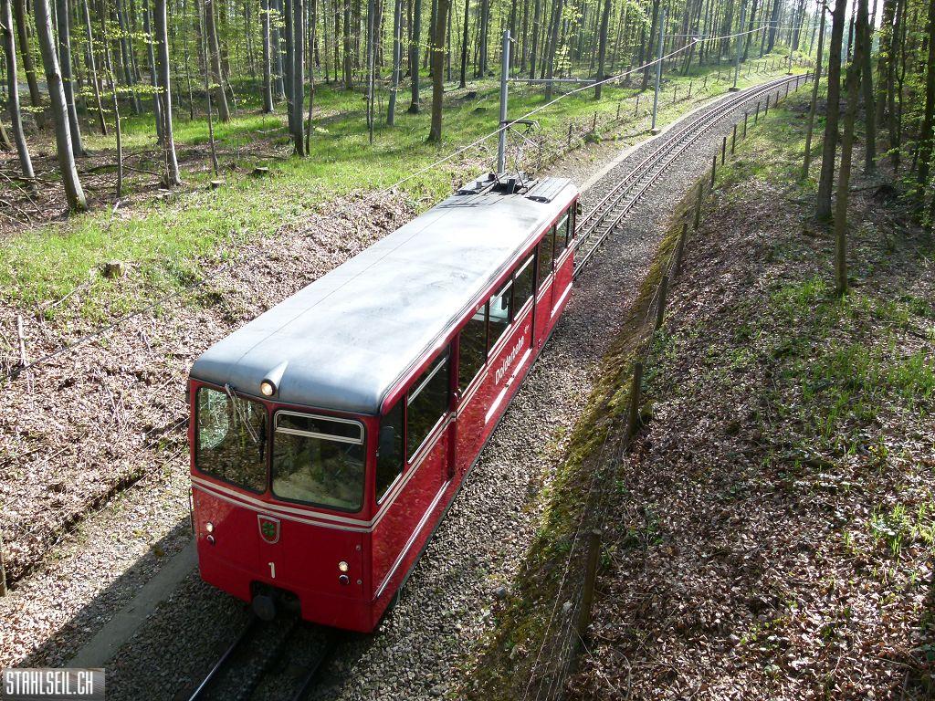 k-P1090872.JPG