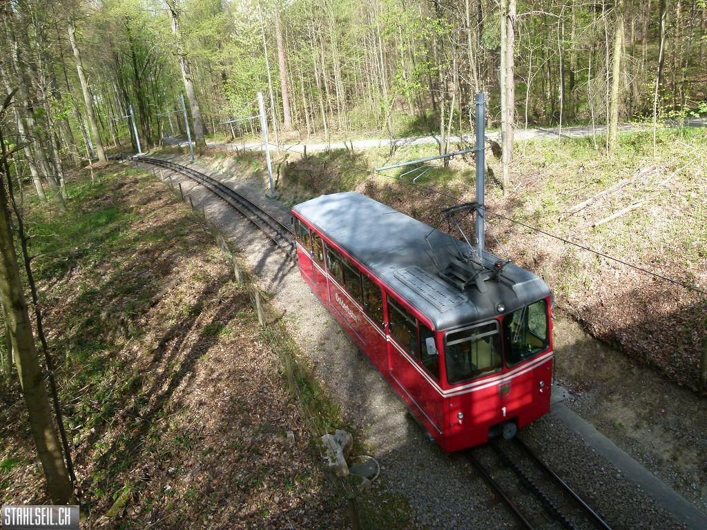 k-P1090874.JPG