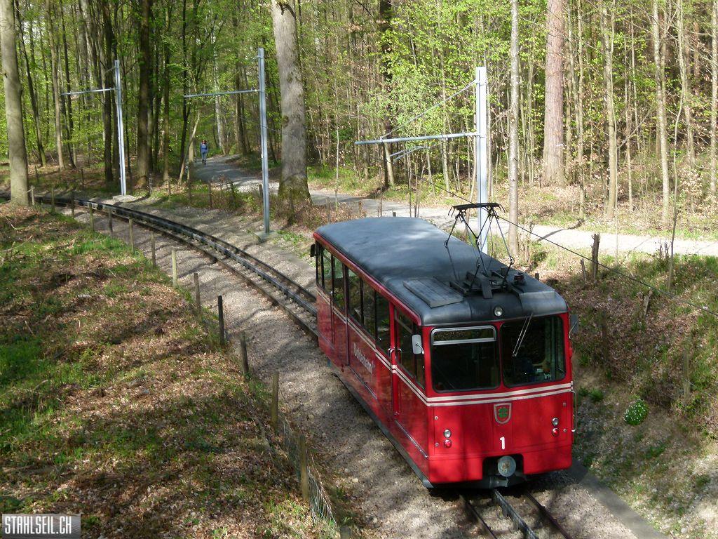 k-P1090875.JPG