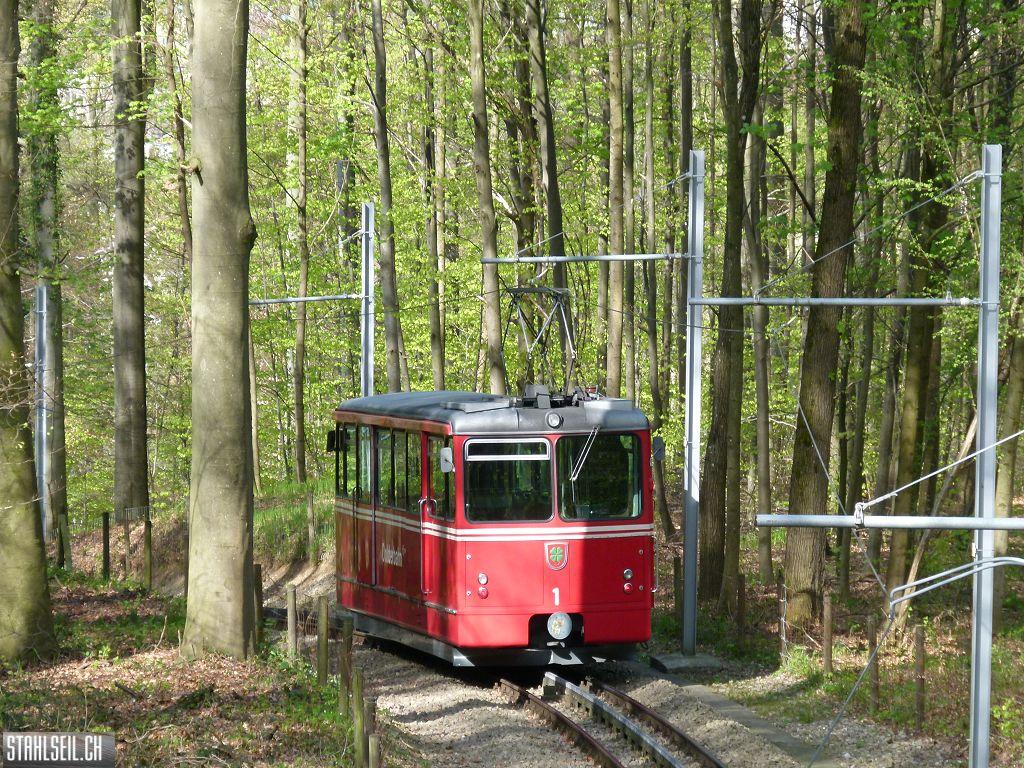 k-P1090876.JPG