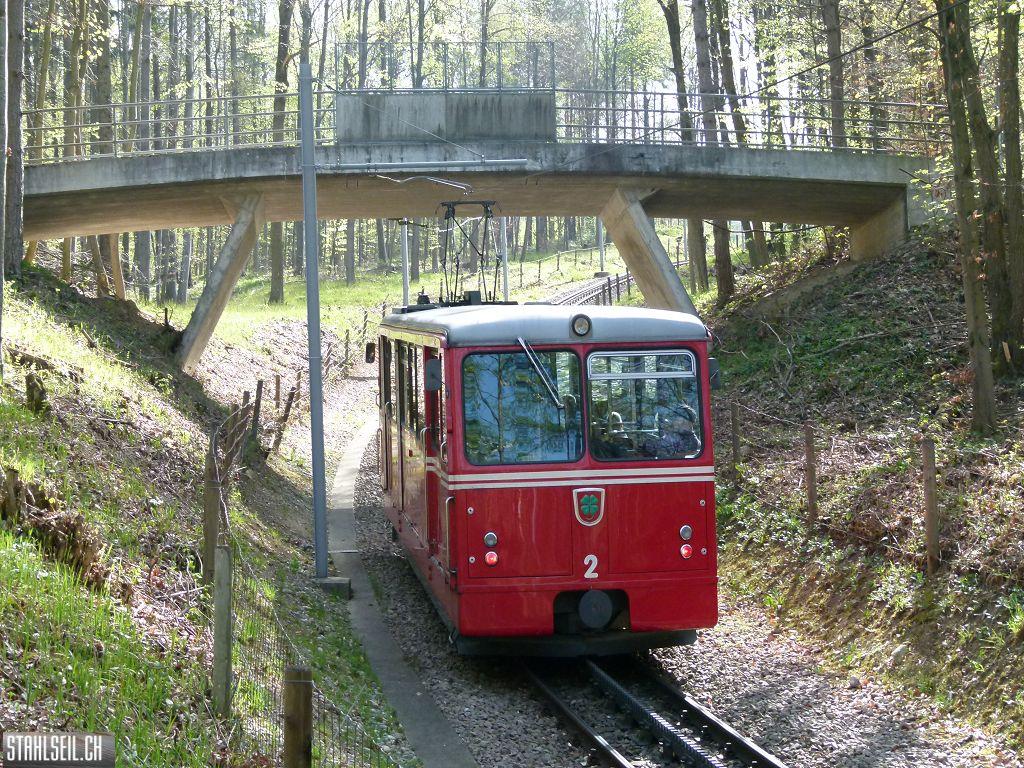 k-P1090882.JPG