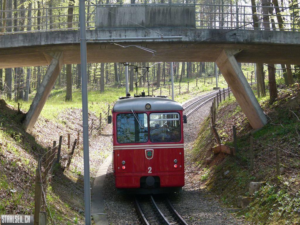 k-P1090883.JPG