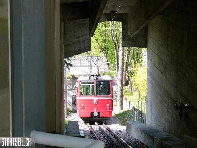 k-P1090894.JPG