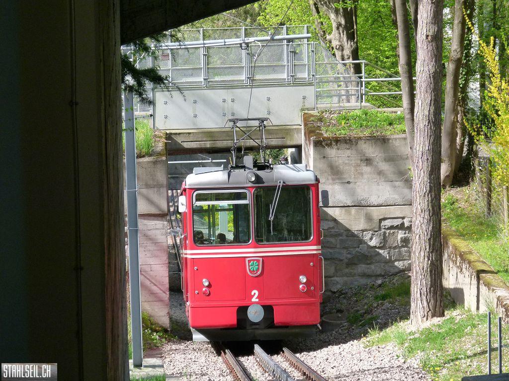 k-P1090895.JPG