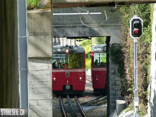 k-P1090896.JPG