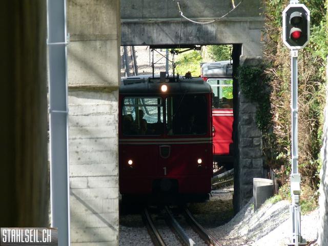 k-P1090897.JPG