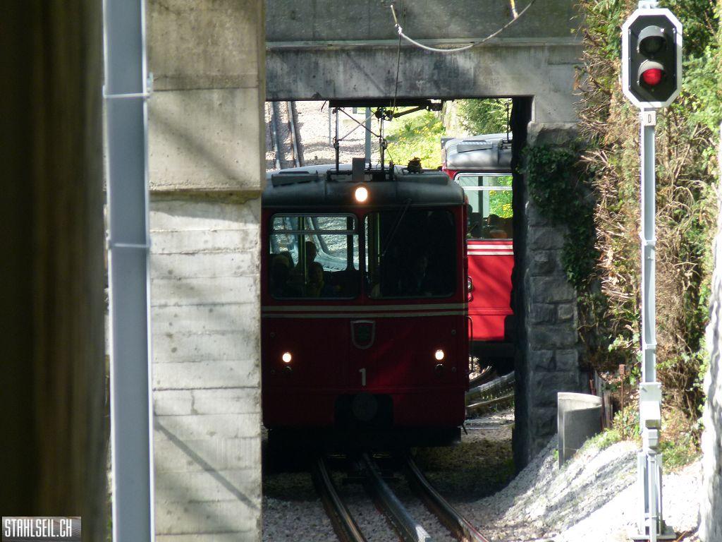 k-P1090897.JPG