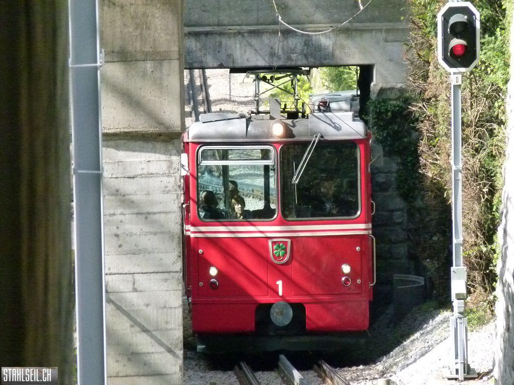 k-P1090898.JPG
