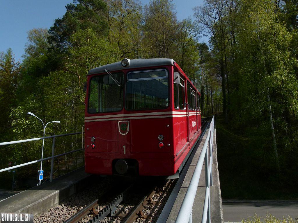 k-P1090901.JPG