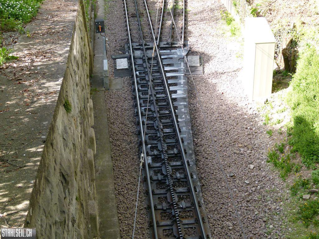k-P1090903.JPG