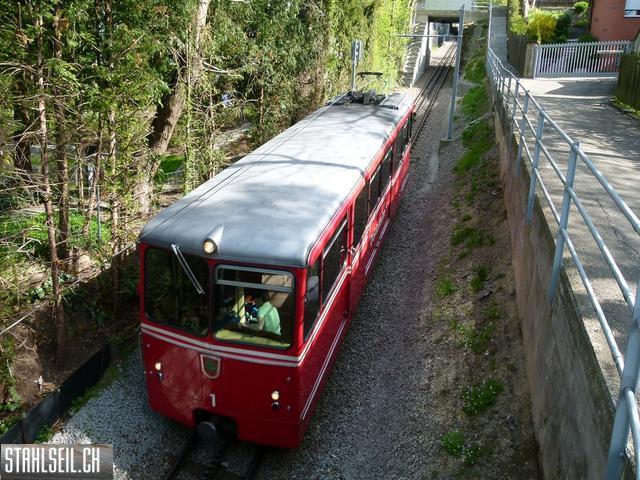 k-P1090906.JPG