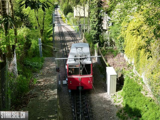 k-P1090908.JPG