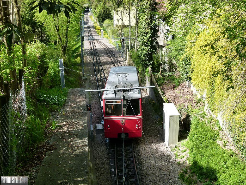 k-P1090908.JPG