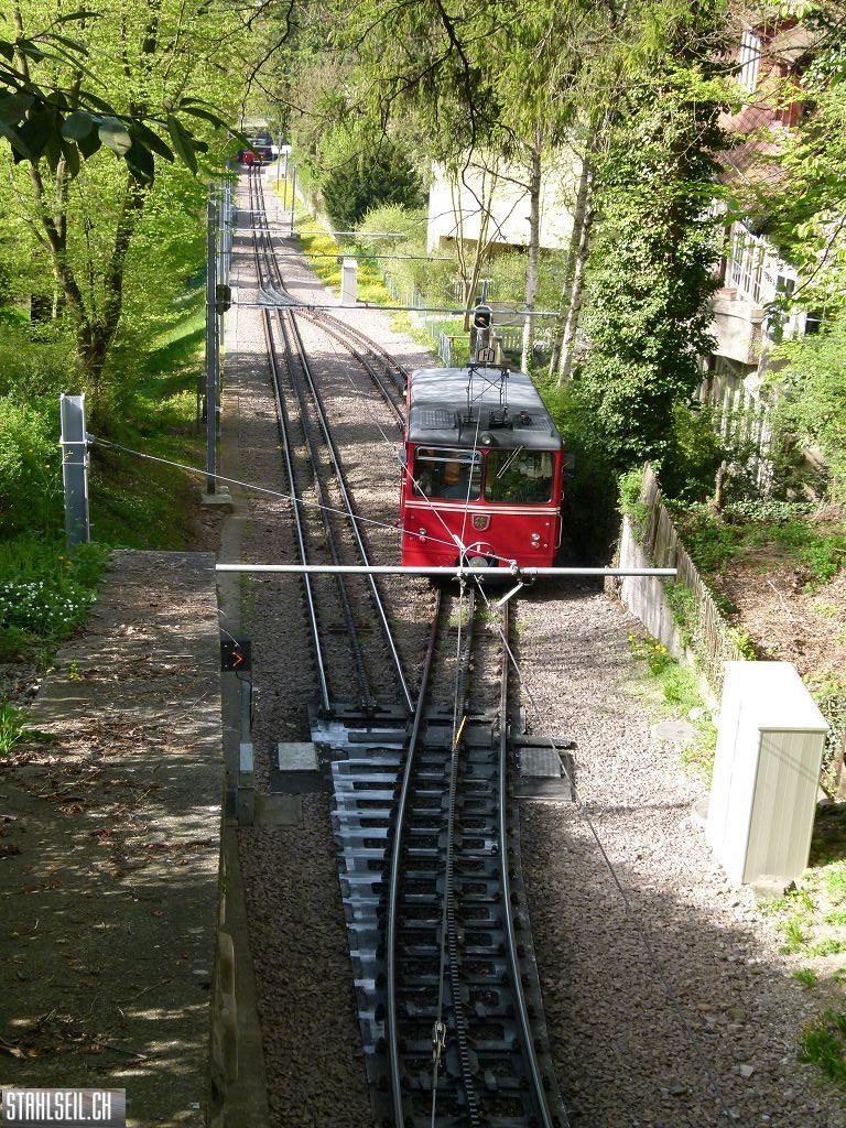 k-P1090909.JPG