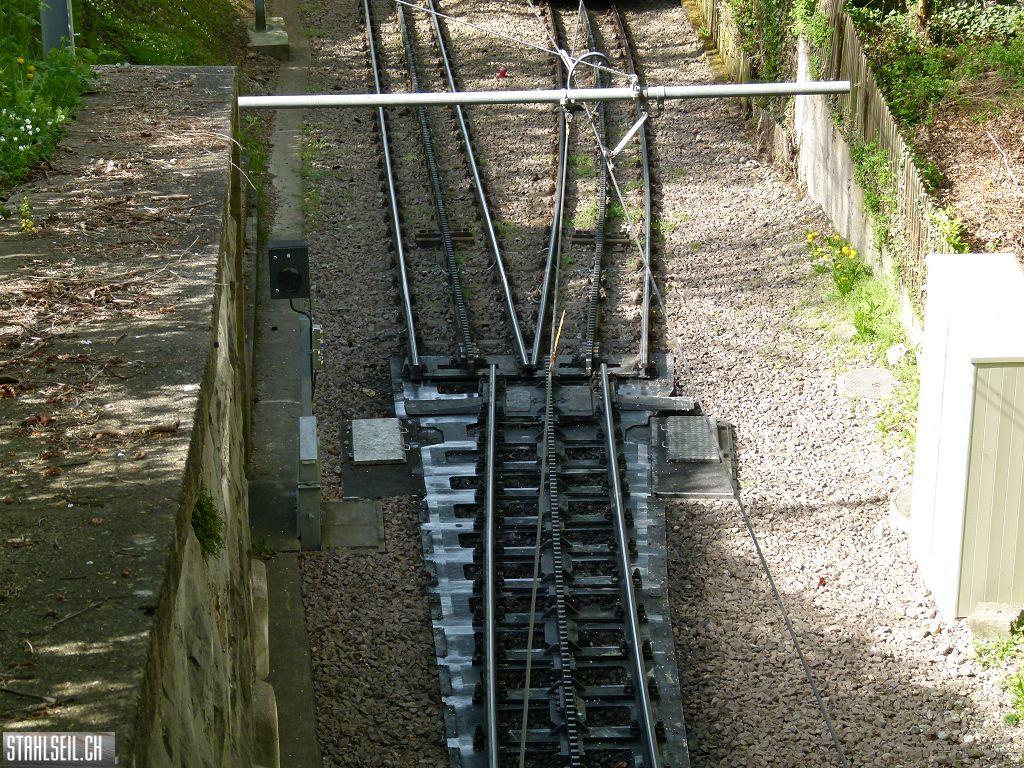 k-P1090911.JPG