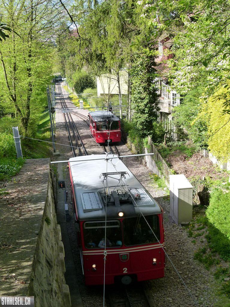 k-P1090917.JPG