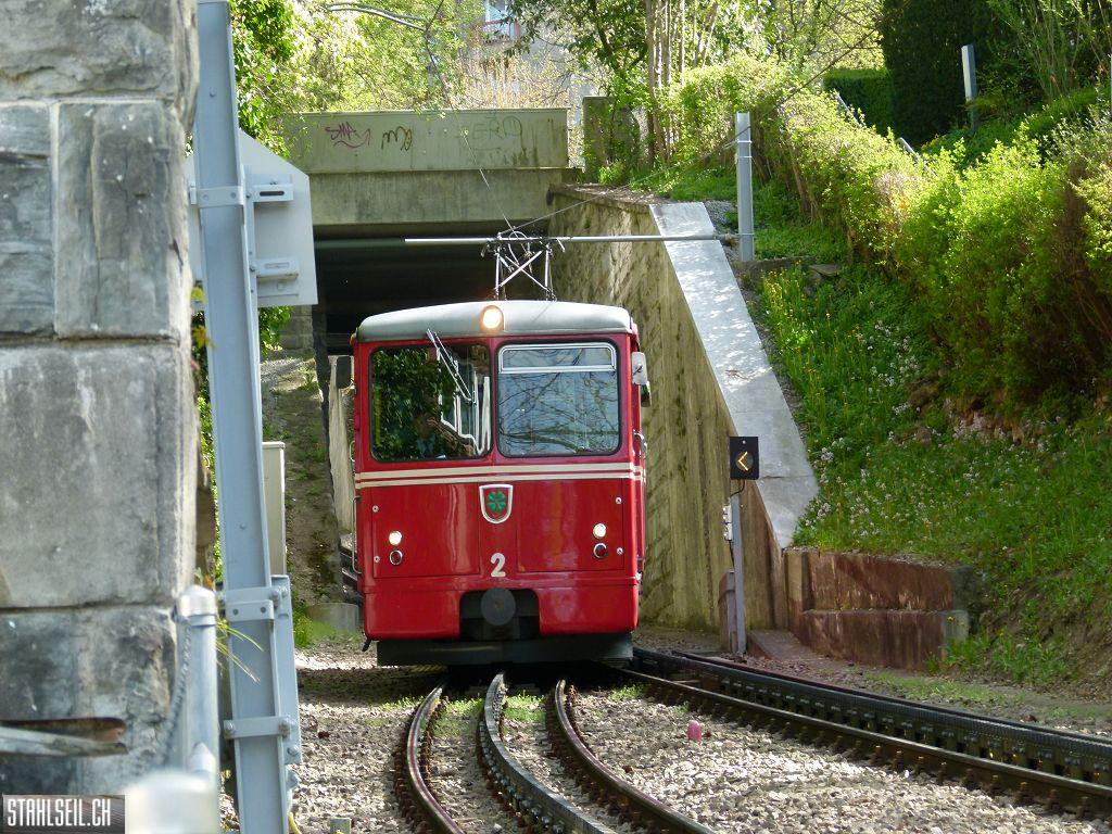 k-P1090919.JPG