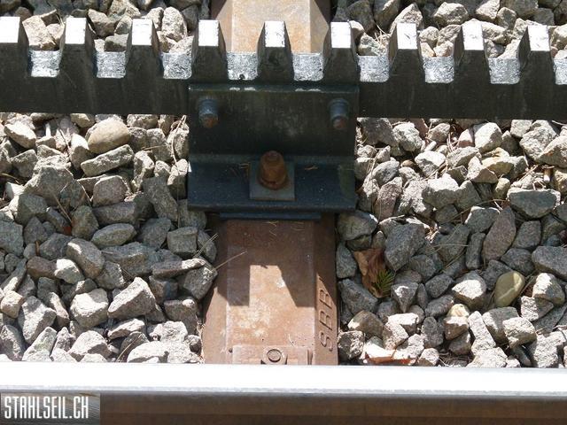 k-P1090928.JPG