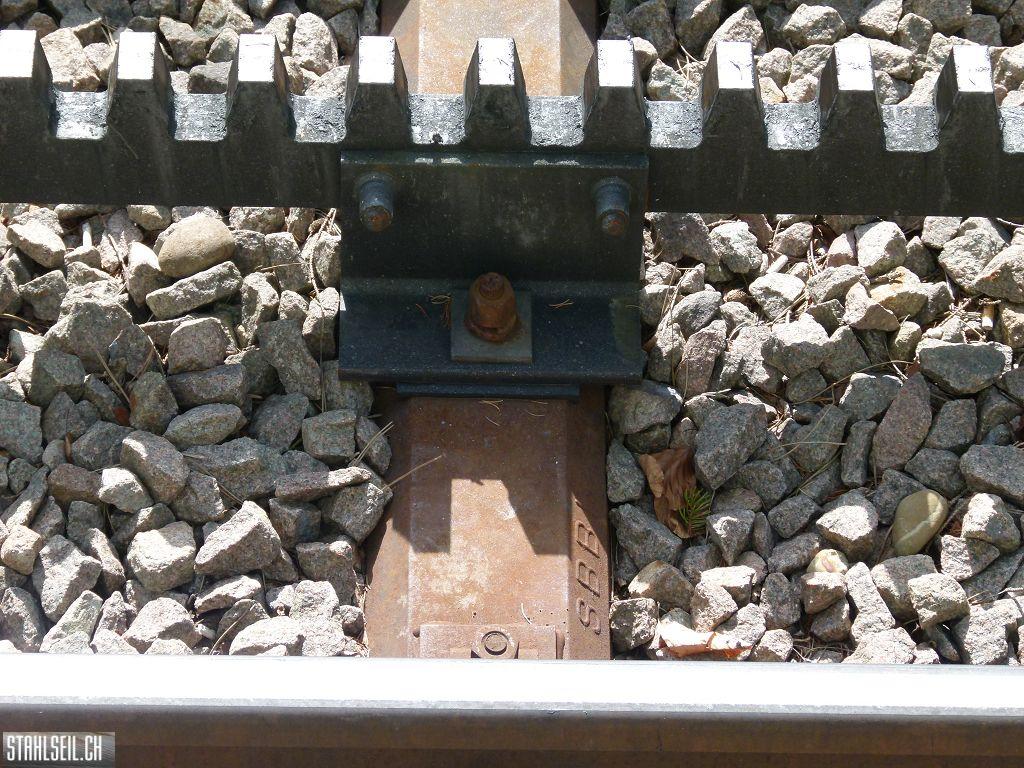 k-P1090928.JPG