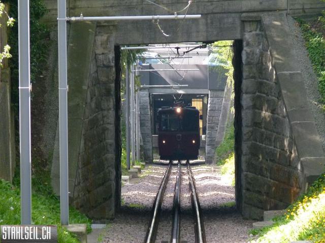 k-P1090929.JPG