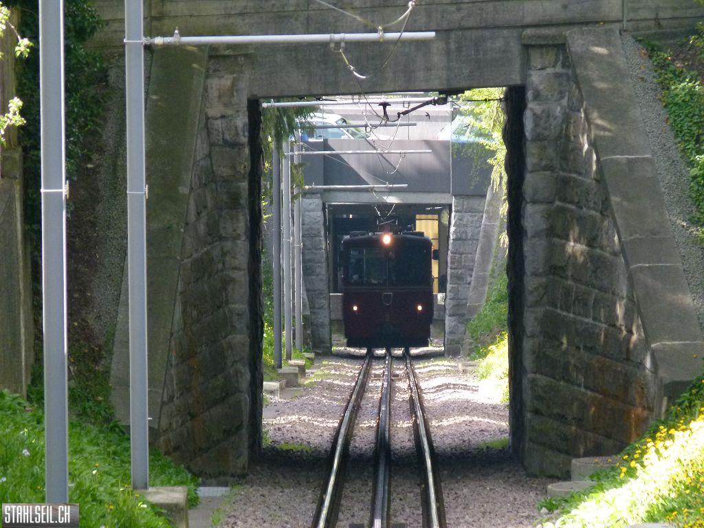 k-P1090929.JPG