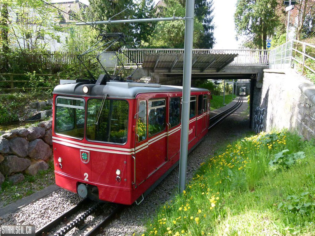 k-P1090934.JPG