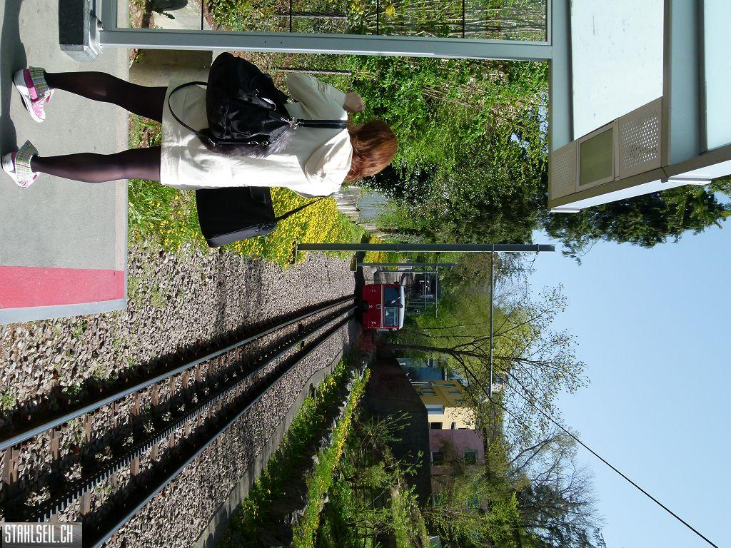 k-P1090937.JPG