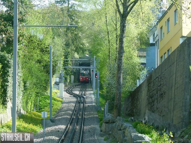 k-P1090851.JPG