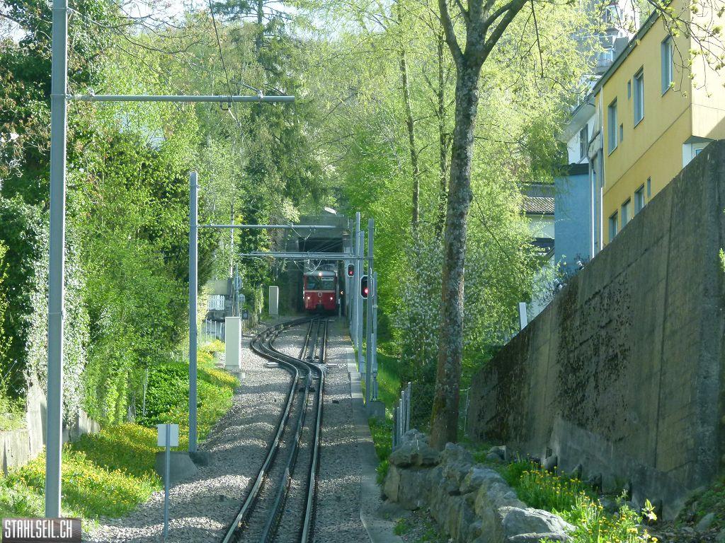 k-P1090851.JPG
