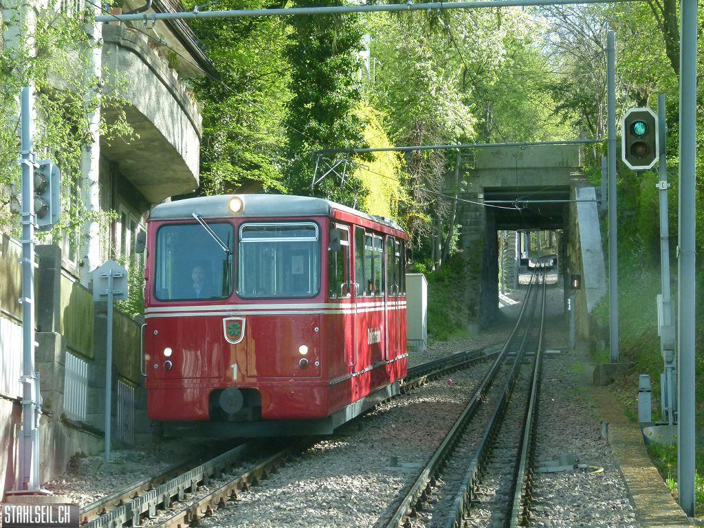 k-P1090858.JPG