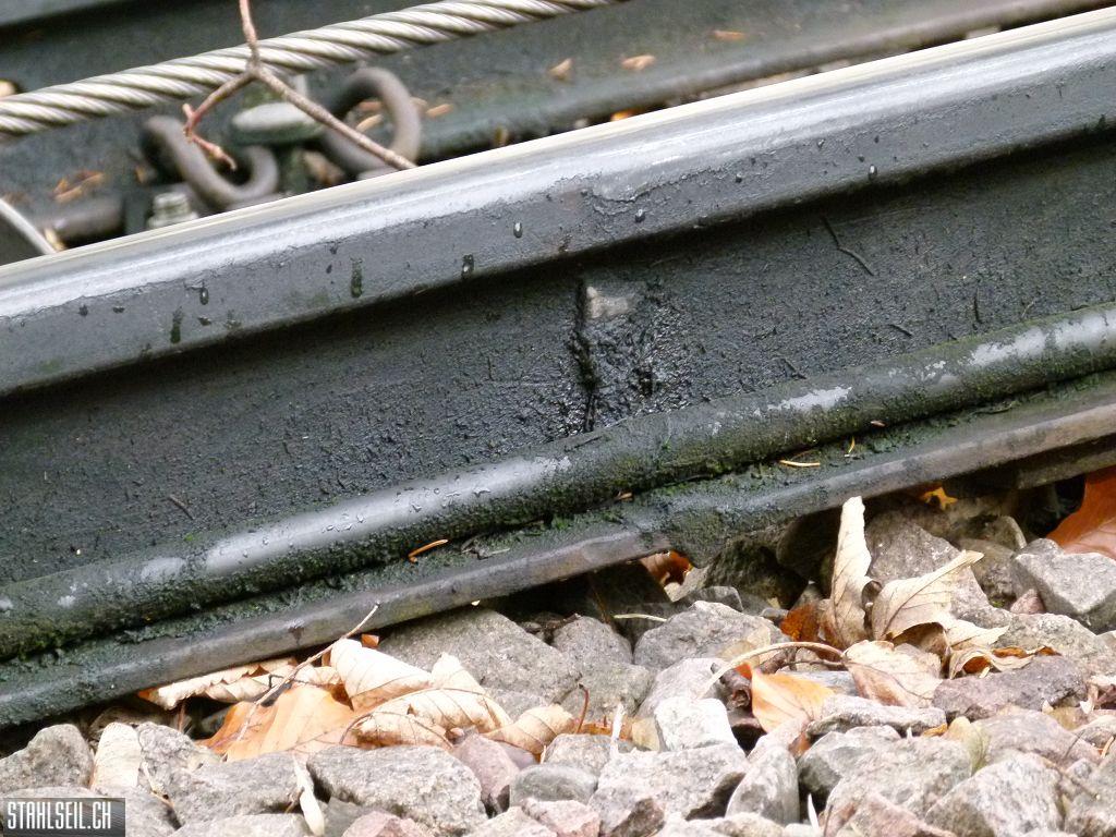 k-P1230634.JPG