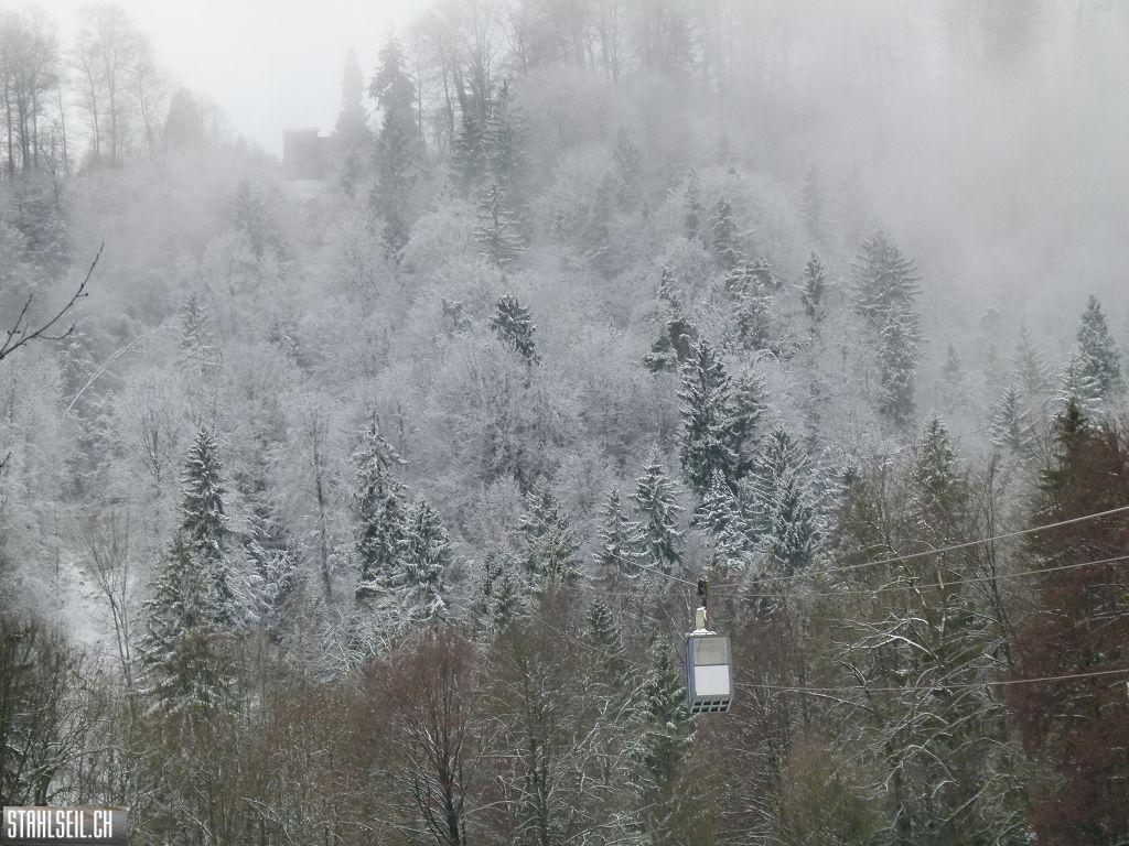 k-P1230749.JPG