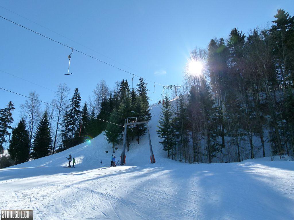k-P1290750.JPG