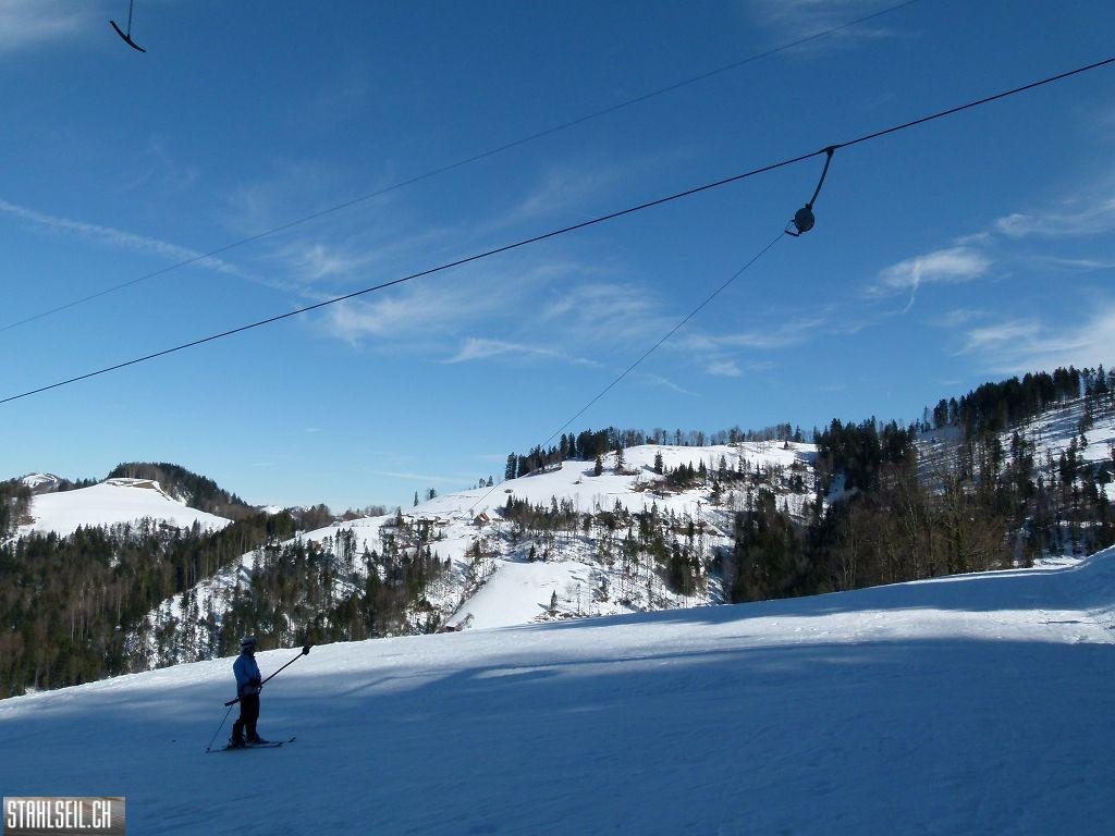 k-P1290875.JPG