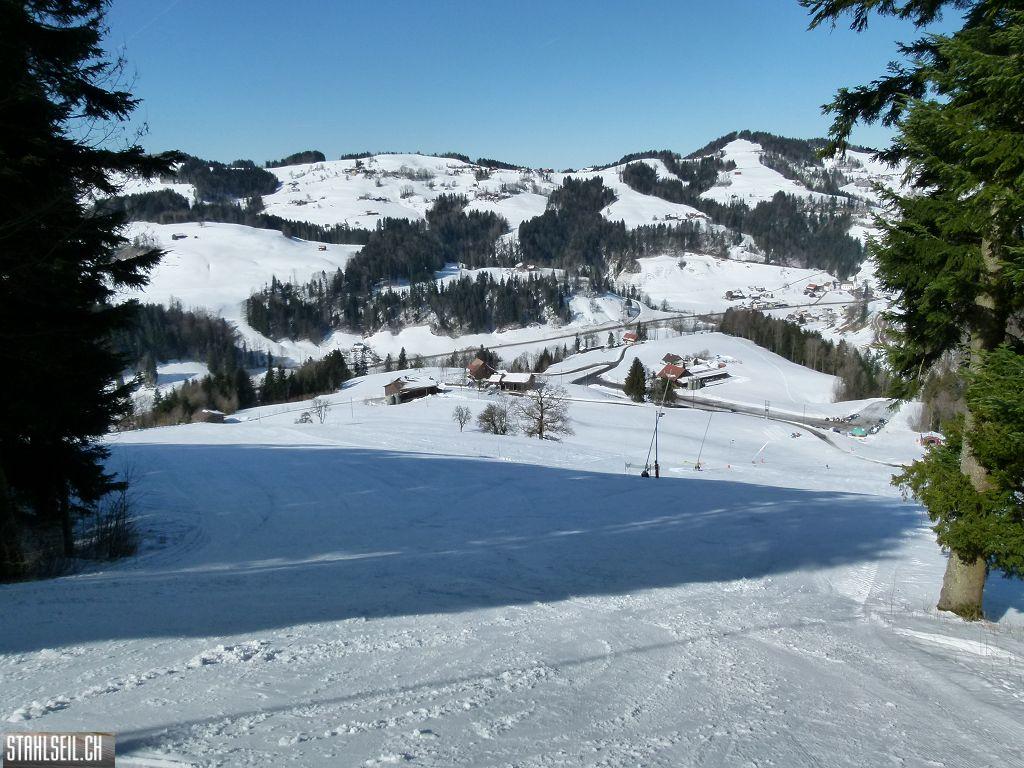 k-P1290879.JPG