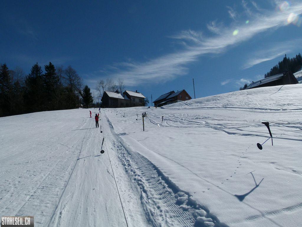 k-P1290886.JPG